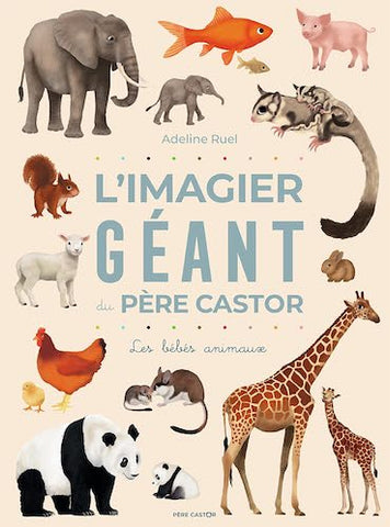 L'Imagier géant du Père Castor - Les bébés animaux